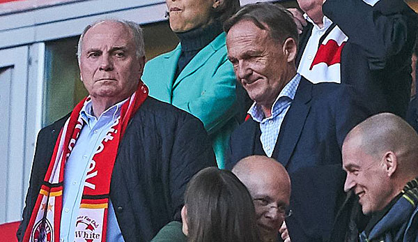 Hans-Joachim Watzke auf der Tribüne neben Bayern-Präsident Uli Hoeneß.