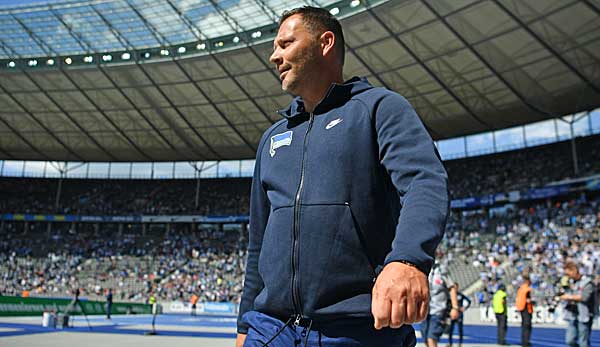1. FC Köln: Pal Dardai sagt offenbar für Trainerposten ab - SPOX