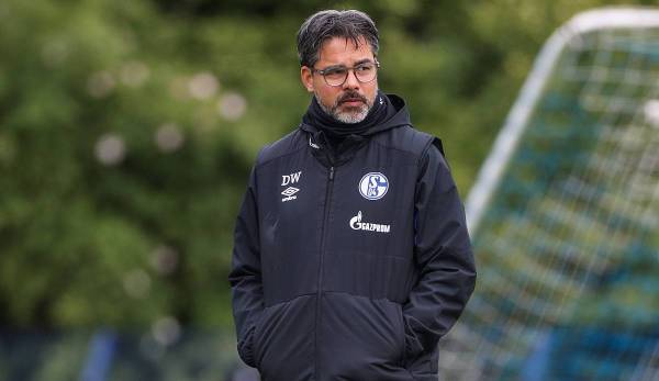 David Wagner ist seit dieser Saison Trainer von Schalke 04.