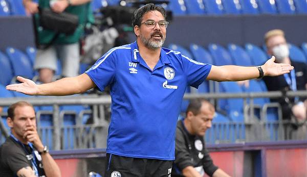 David Wagner fordert eine realistischere Erwartungshaltung auf Schalke.