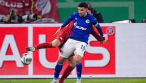 Nassim Boujellab (debütierte am 31. März 2019): Der Marokkaner wuchs in Hagen auf und stieß 2014 zur Schalker U16. Pendelte immer wieder zwischen Reserve und Profis. Nach dem Abstieg wurde er an Ingolstadt ausgeliehen.