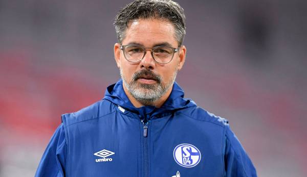David Wagner steht bei Schalke 04 vor dem Aus.