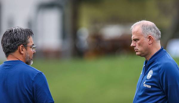 Pflegen noch ein gutes Verhältnis beim FC Schalke 04: Trainer David Wagner und Sportvorstand Jochen Schneider.