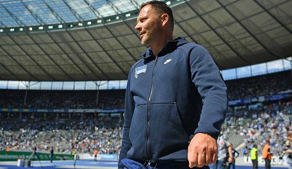Kehrt nach der Entlassung von Bruno Labbadia als Cheftrainer von hertha BSC zurück: Pal Dardai.