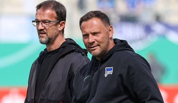 Michael Rummenigge hat Hertha-Coach Pal Dardai kritisiert.