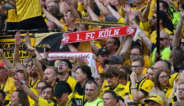 1. FC Köln scarves are omnipresent in the Borussia Dortmund fan block - and vice versa.