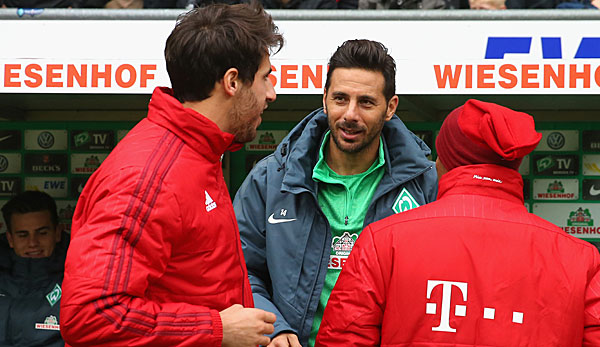Claudio Pizarro traut dem FC Bayern den Gewinn der Champions League nicht zu