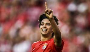 JOAO FELIX: Wie die "SportBild" berichtet, ist der FCB an dem Offensivspieler von Benfica Lissabon interessiert. Der 19-Jährige kam in dieser Saison bislang 19 Mal zum Einsatz und erzielte dabei sechs Tore.