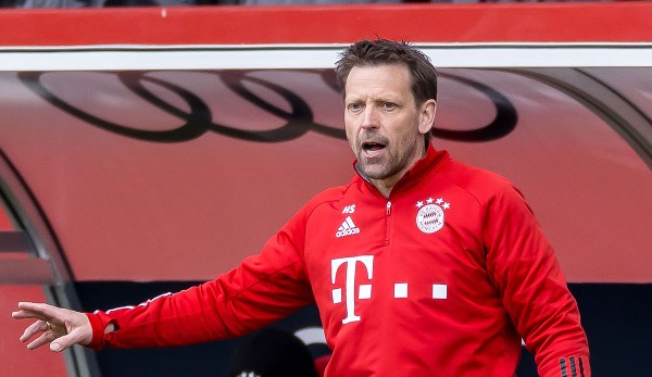 Holger Seitz erhält bald Verstärkung für das U17-Team des FC Bayern.