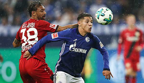 Bayer Leverkusen trifft im Kampf um die Champions-League-Plätze auf den FC Schalke.