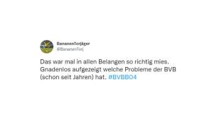 Borussia Dortmund, Bayer Leverkusen, Netzreaktionen, BVB