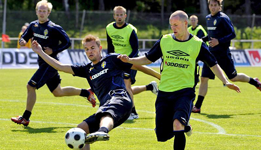 EM 2008, Fussball, Schweden, Alexandersson, Stoor