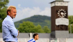 Thorsten Fink wurde am 17. September 2013 nach einem 2:6 in Dortmund beim HSV entlassen