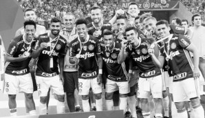 Die Mannschaft von Chapecoense gewann im Halbfinale der Copa Sudamericana