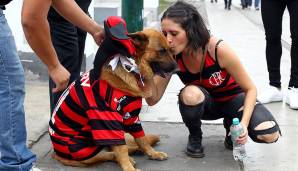 Ganz Rio war vor Anpfiff im Flamengo-Fieber - selbst Hunde waren davor nicht sicher.