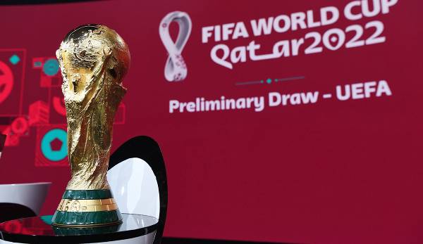 Findet künftig alle zwei Jahre eine Fußball-Weltmeisterschaft statt? Zumindest wird auf dem FIFA-Kongress am Freitag schonmal über eine entsprechende Machbarkeitsstudie beraten.