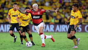 Flamengo zog ins Finale der Copa Libertadores ein.