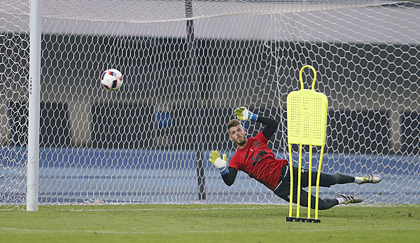 David De Gea freut sich über das Training mit Zlatan