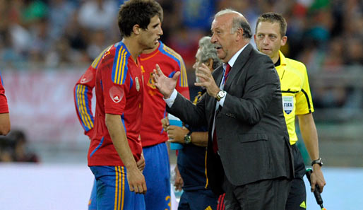 Vicente del Bosque ist seit 2008 Trainer der spanischen Nationalmannschaft