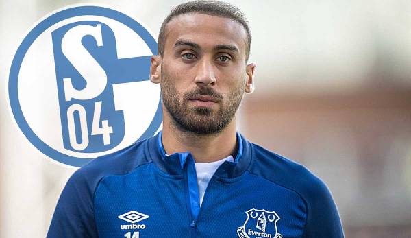 FC Schalke 04, Cenk Tosun, Transfers