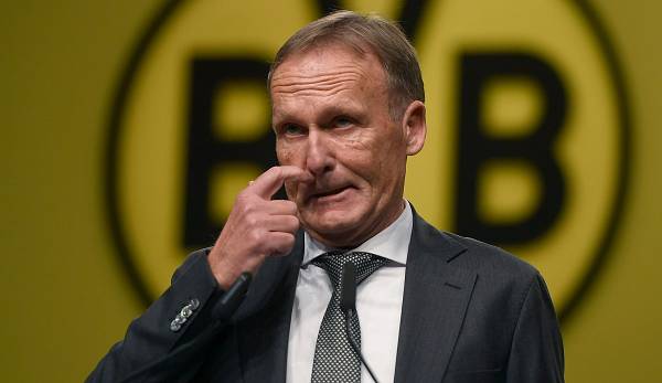 Dortmund's managing director Hans-Joachim Watzke becomes head of the DFL supervisory board.