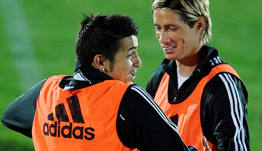 Spaniens Traumsturm: Fernando Torres (r.) und David Villa