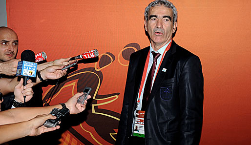 Raymond Domenech ist seit Juli 2004 Frankreichs Nationaltrainer - und steht seither in der Kritik