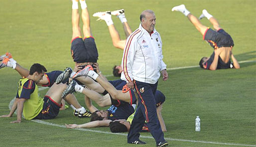 Vicente del Bosques Truppe geht als amtierender Europameister in die WM 2010