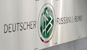 Der DFB und Wolfgang Niersbach galten als Hoffnungsträger für Reformen bei der FIFA