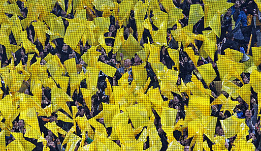 Pro Zuschauer im Spiel Dynamo Dresden - VfL Pirna-Copitz geht einen Euro