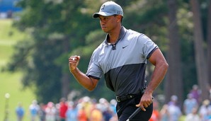 Golf: Tiger Woods gibt Comeback in Napa