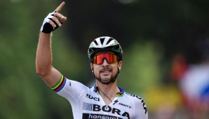 Peter Sagan gewinnt die dritte Etappe der Tour de France