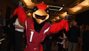 Big Red - Arizona Cardinals (NFL): Jede Menge Vögel hat die NFL zu bieten, darunter auch die Cardinals, deren Maskottchen ein wenig an Angry Birds erinnert