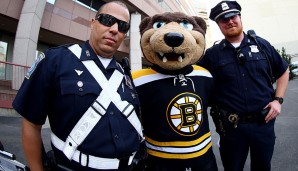 Blades the Bruin - Boston Bruins (NHL): Dieser Bär ist ein Wunder der Natur, denn er ist wohl der einzige Bär, der keinen Winterschlaf macht