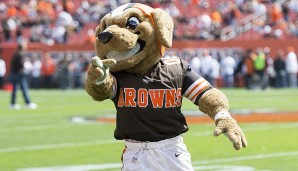 Chomps - Cleveland Browns (NFL): Zum "Dawg Pound" gehört natürlich auch ein Hund ...