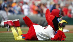 Fredbird - St. Louis Cardinals (MLB): Kardinalsvögel sind essenziell rote Vögel, also "Red Birds". Insofern ist Fredbirds Name jetzt nicht so originell