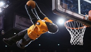 Go the Gorilla - Phoenix Suns (NBA): Was macht ein Gorilla in der Wüste Arizonas? Wir wissen es auch nicht