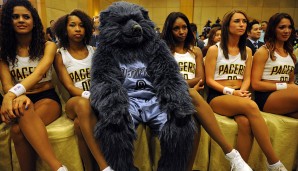 Grizz - Memphis Grizzlies (NBA): Ein Grizzlybär als Maskottchen der Grizzlies. Es liegt einfach auf der Hand!