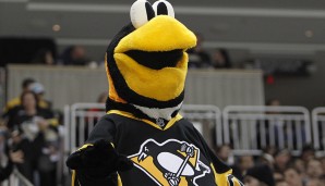 Iceburgh - Pittsburgh Penguins (NHL): Natürlich ist Iceburgh - man achte auf das "h" am Ende - ein Pinguin. Was auch sonst?