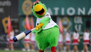 Pirate Parrot - Pittsburgh Pirates (MLB): Was braucht ein amtlicher Pirat? Natürlich einen Papagei
