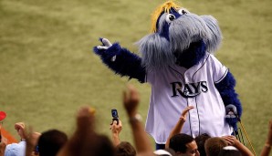 Raymond - Tampa Bay Rays (MLB): Nein, entgegen der allgemeinen Vermutung ist Raymond kein Rochen! Er ist ein Seebär! Und neben seinen übergroßen Turnschuhen hat er meist auch ein Cap auf