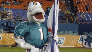 T.D. - Miami Dolphins (NFL): Die Buchstaben stehen für "The Dolphin" - oder auch Touchdown. Seit 1997 ist der Meeressäuger für die Dolphins aktiv und war acht Mal im Pro Bowl