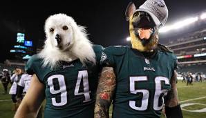 U wie Underdog: Die Quoten waren ja bereits Thema, Philadelphia ist - wie schon in den anderen beiden Playoff-Spielen - Außenseiter. Doch die Eagles kokettieren mit diesem Image, Hunde-Masken erleben in Philly aktuell einen ungeahnten Boom!