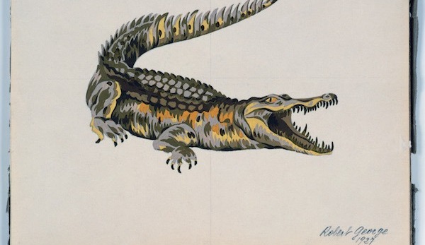 Robert Georges entwarf 1927 die erste Version des Krokodils, das später als Logo diente