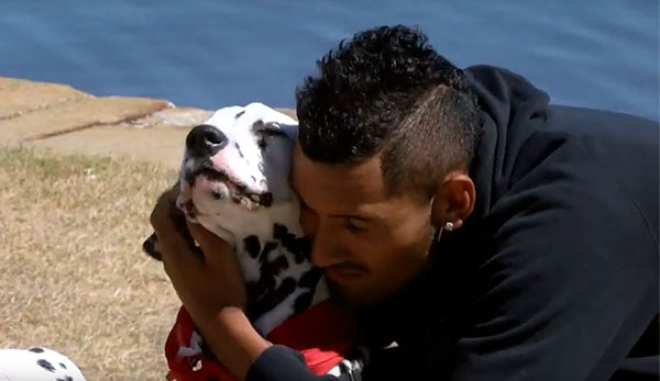 Nick Kyrgios mag Hunde wie diesen Dalmatiner