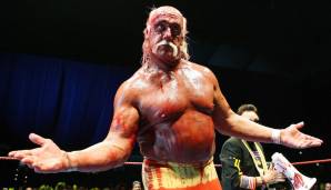 Hulk Hogan: "Whatcha gonna do, brother, when Hulkamania runs wild on you?"